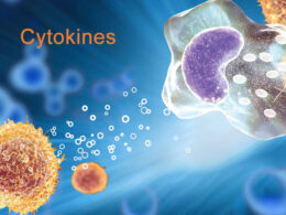 What Must You Know About Recombinant Cytokines?