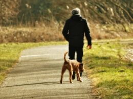 Freedom for dogs and peace of mind for pet owners are the takeaways of off-leash dog training