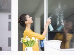 How to clean windows to match the standard of professional cleaning?